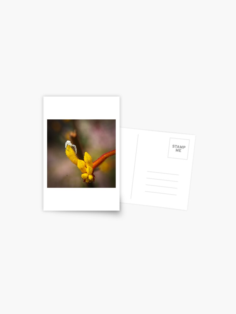 Thumbnail 1 of 2, Postcard, Incy wincy spider designed and sold by mistered.