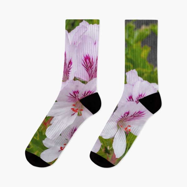 Item preview, Lanzarote flowers designed and sold by iCimages.net.