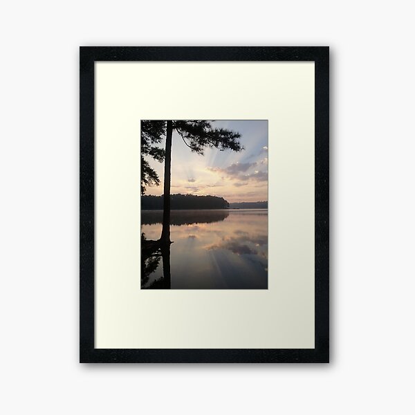 Sunbeams Framed Art Print