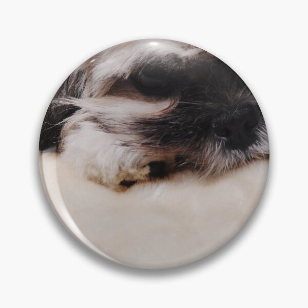 Item preview, Puppy Face designed and sold by AM-Photographer.