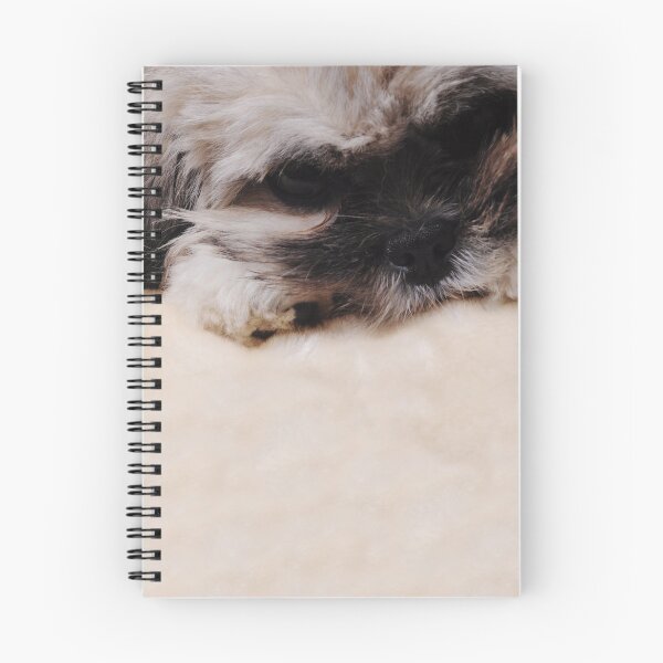 Item preview, Puppy Face designed and sold by AM-Photographer.