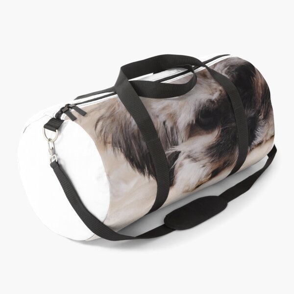 Item preview, Puppy Face designed and sold by AM-Photographer.