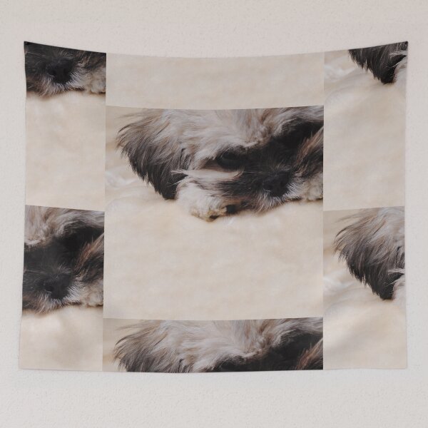 Item preview, Puppy Face designed and sold by AM-Photographer.
