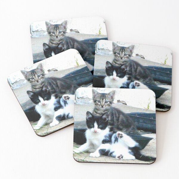 Item preview, 2 new kittens designed and sold by angel1.