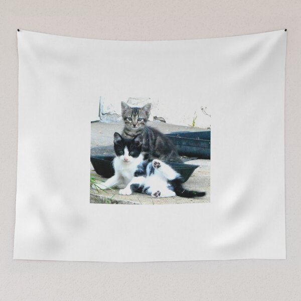 Item preview, 2 new kittens designed and sold by angel1.
