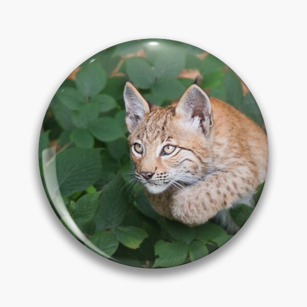 Item preview, jumping lynx designed and sold by Cloudtail.
