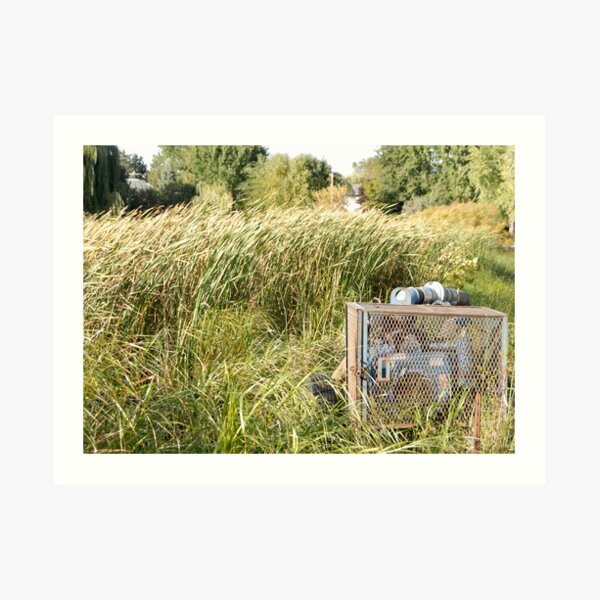 Sump Pump In The Reeds Art Print