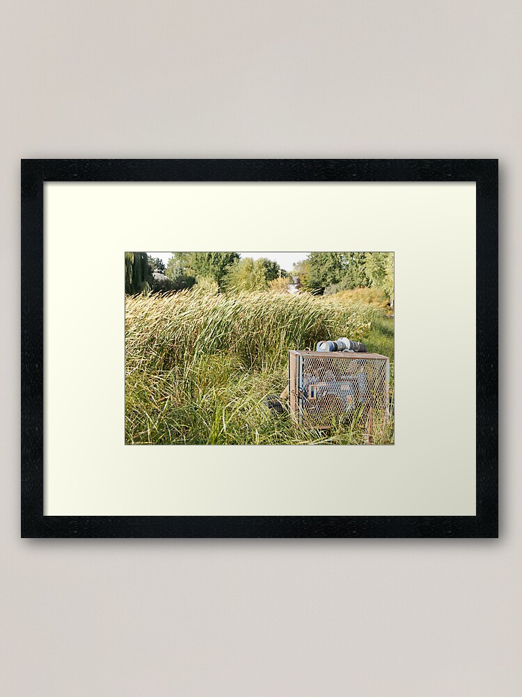 Alternate view of Sump Pump In The Reeds Framed Art Print