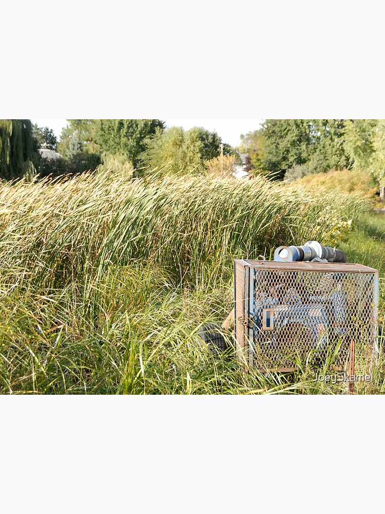 Sump Pump In The Reeds by JoeySkamel