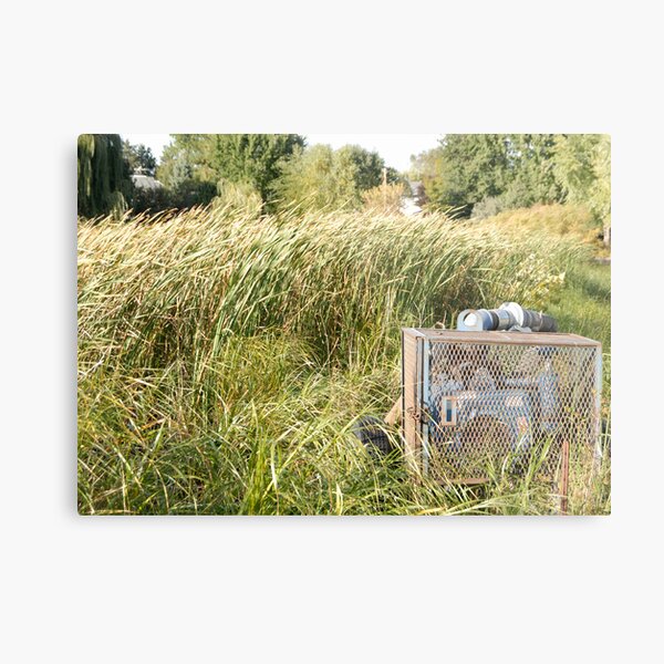 Sump Pump In The Reeds Metal Print