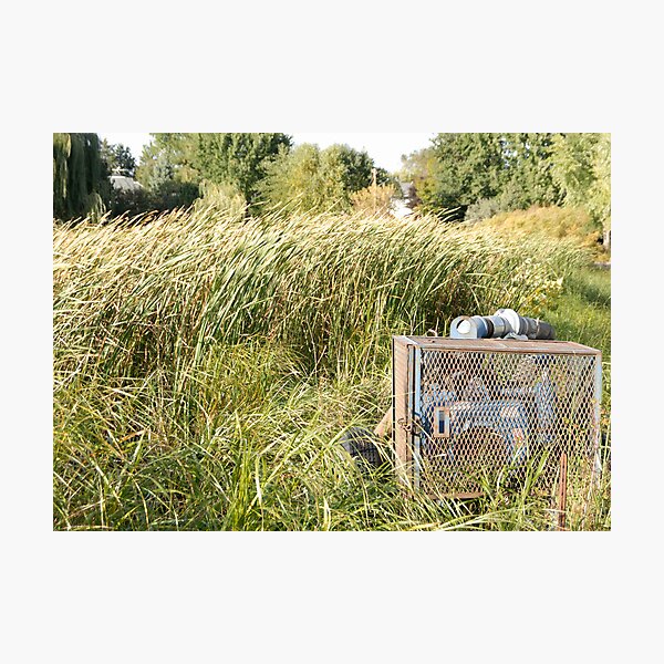 Sump Pump In The Reeds Photographic Print
