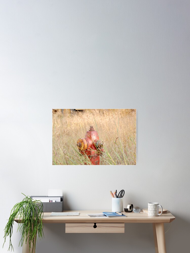 Thumbnail 2 of 3, Poster, Fire Hydrent in tall grass designed and sold by JoeySkamel.