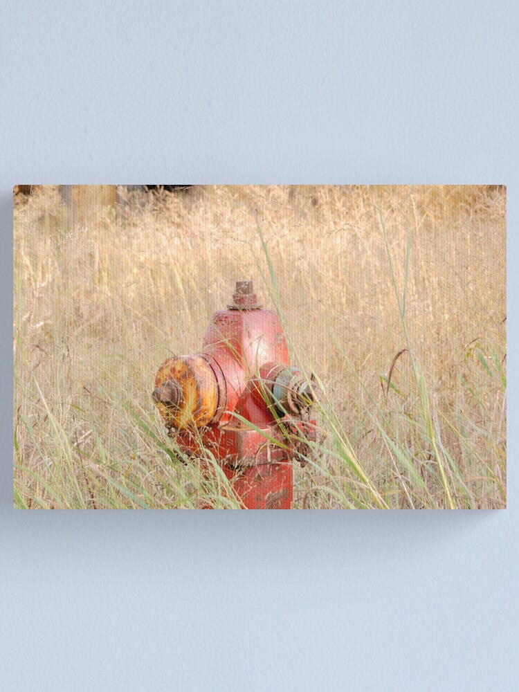 Alternate view of Fire Hydrent in tall grass Canvas Print
