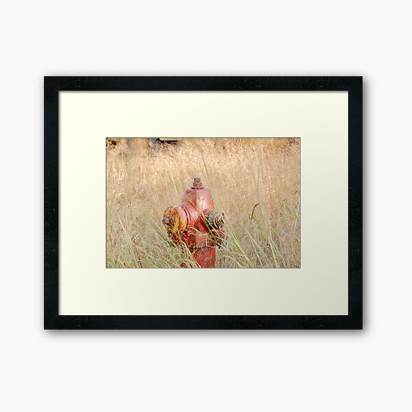 Fire Hydrent in tall grass Framed Art Print