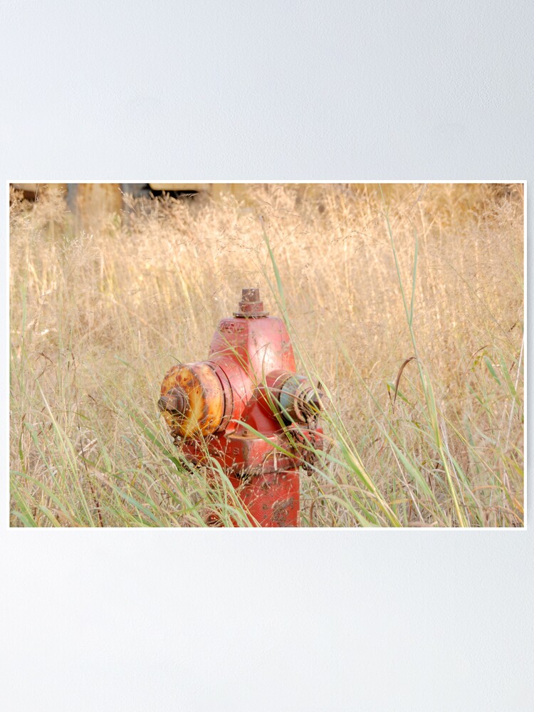 Alternate view of Fire Hydrent in tall grass Poster