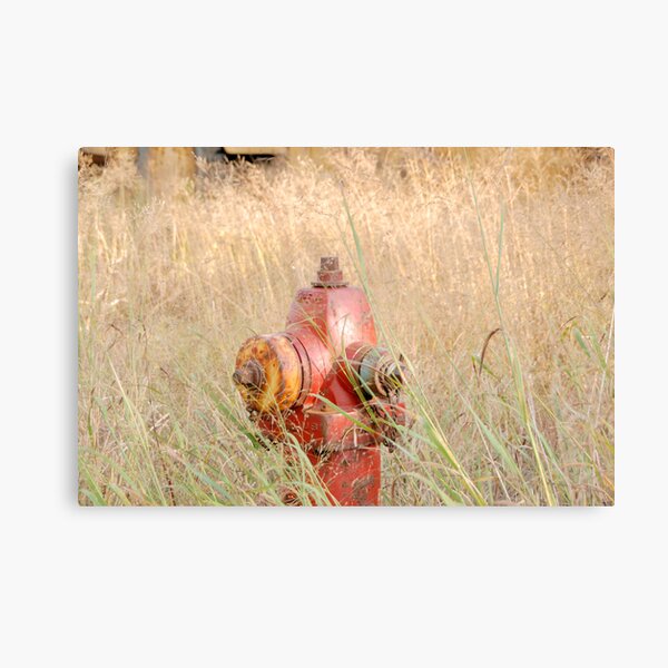 Fire Hydrent in tall grass Canvas Print