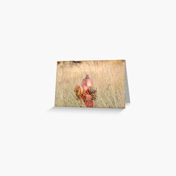 Fire Hydrent in tall grass Greeting Card