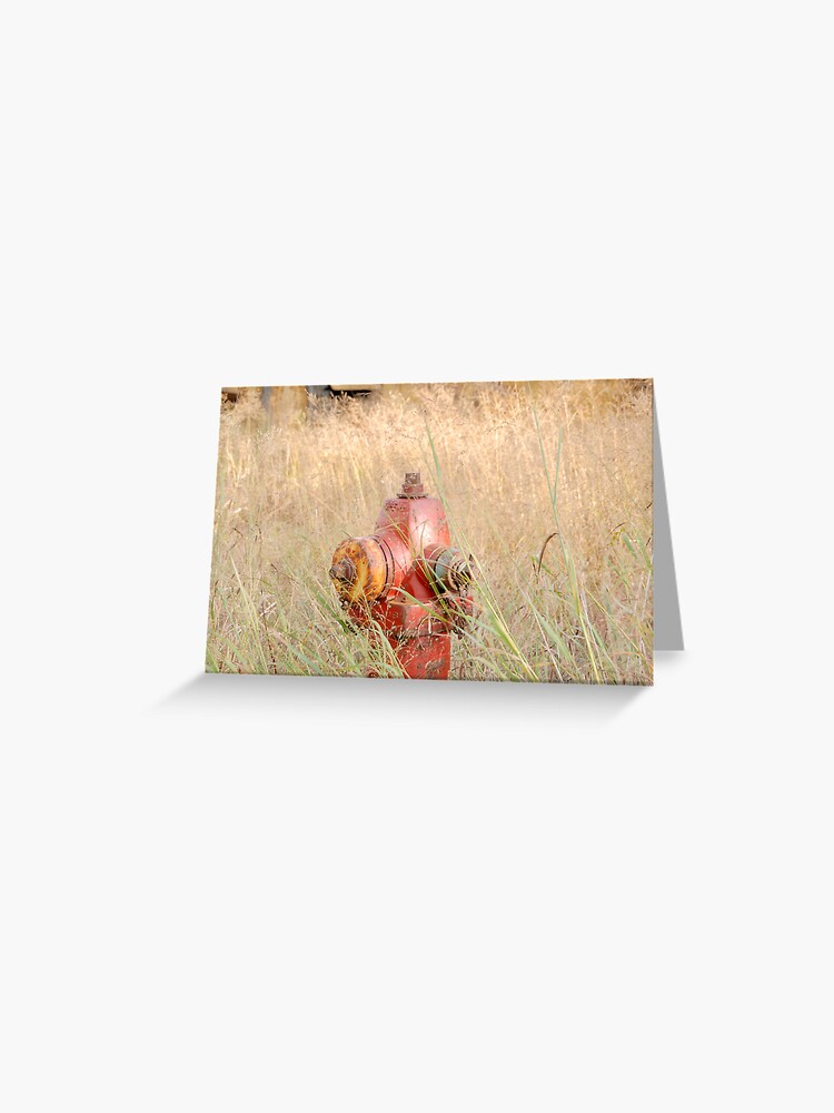 Thumbnail 1 of 2, Greeting Card, Fire Hydrent in tall grass designed and sold by JoeySkamel.
