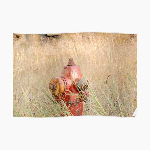 Fire Hydrent in tall grass Poster
