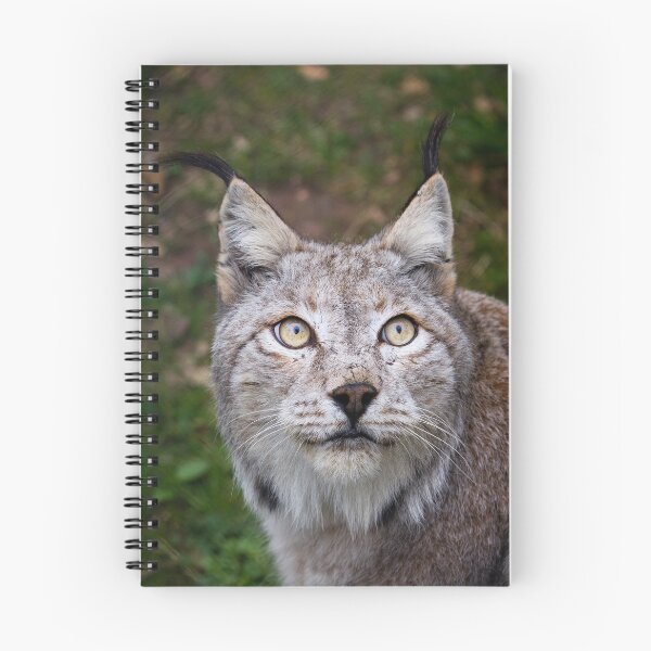 Item preview, lynx designed and sold by Cloudtail.