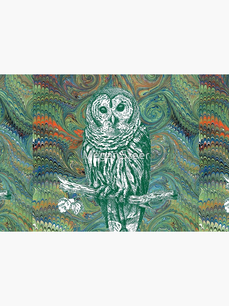 The Owl in the Library by MeganSteer