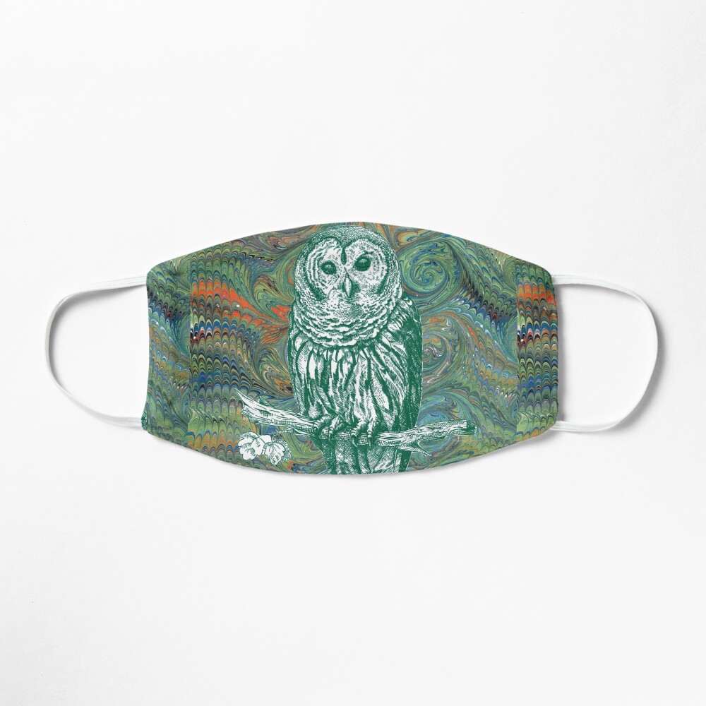 The Owl in the Library Mask