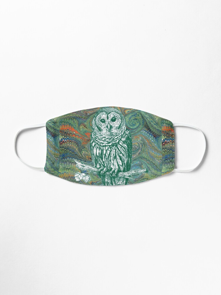 Alternate view of The Owl in the Library Mask