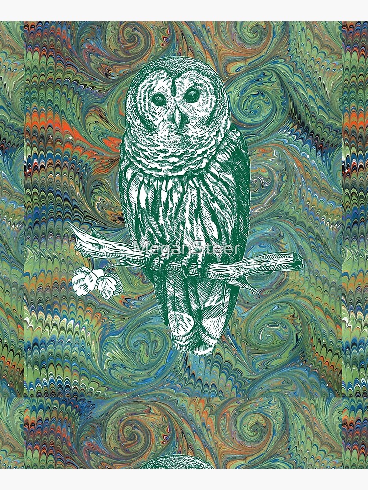 The Owl in the Library by MeganSteer