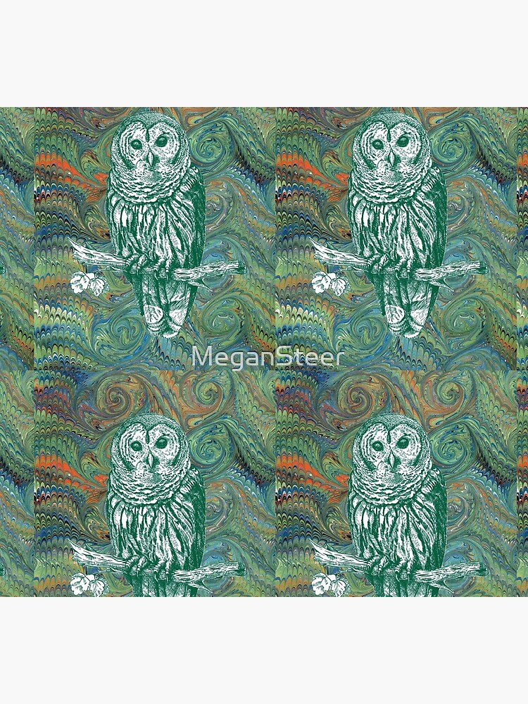 The Owl in the Library by MeganSteer