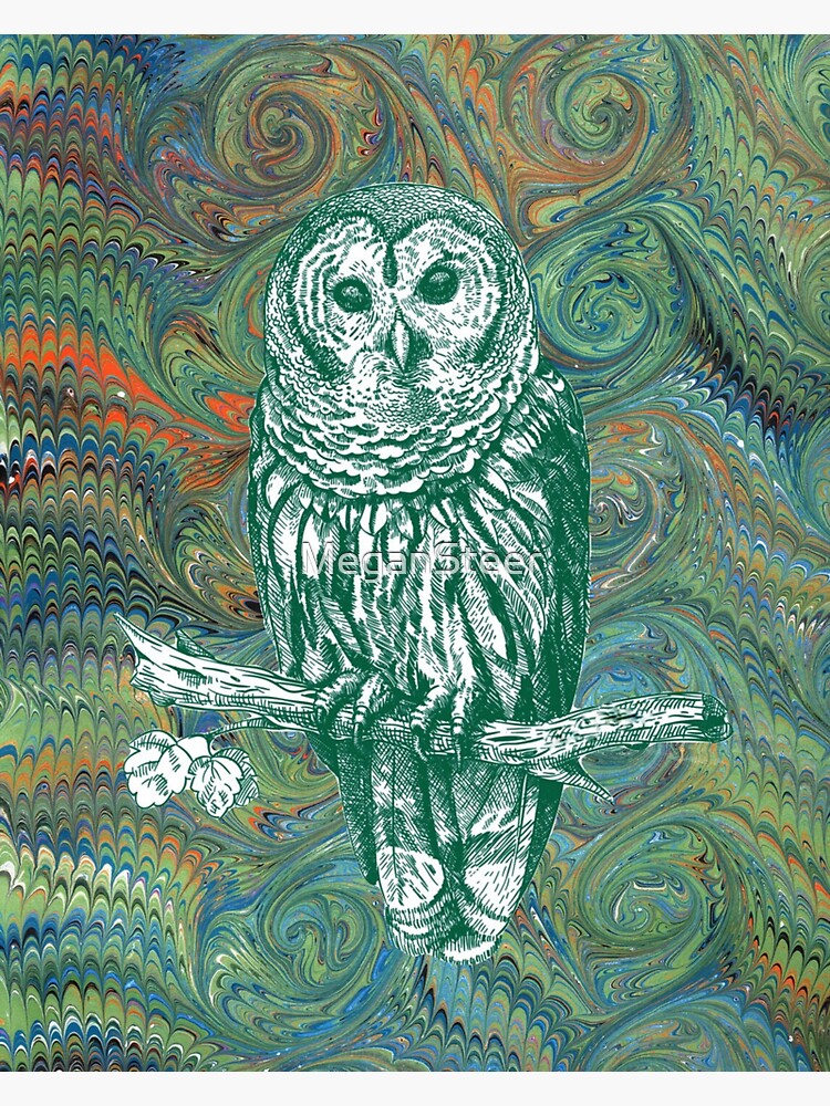 Thumbnail 3 of 3, Sticker, The Owl in the Library designed and sold by MeganSteer.