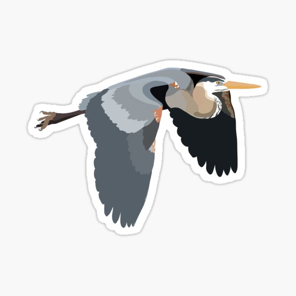 Item preview, Great Blue Heron designed and sold by joceygm.