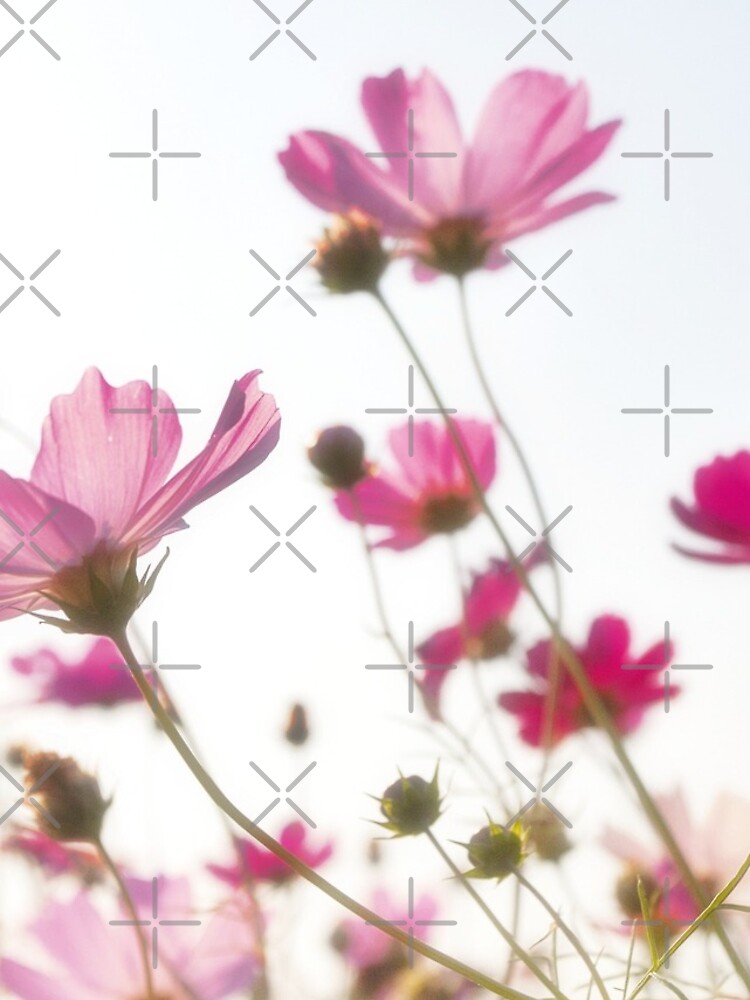 Pink flowers by ColorsHappiness