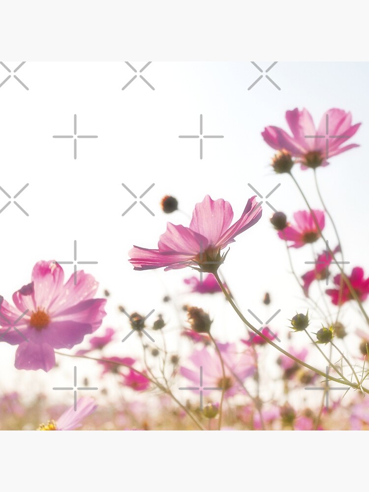 Pink flowers by ColorsHappiness