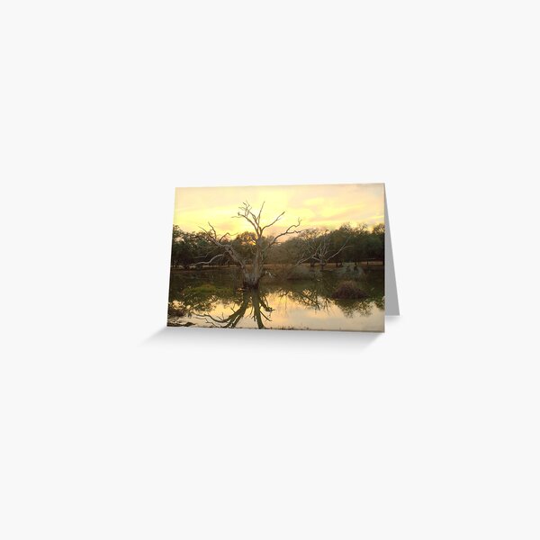 Pretty Puddle! Greeting Card
