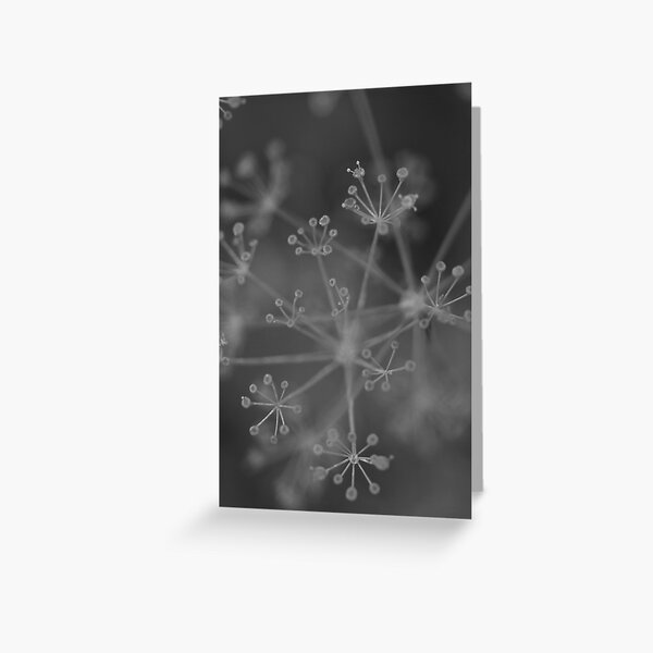 Constelation Greeting Card