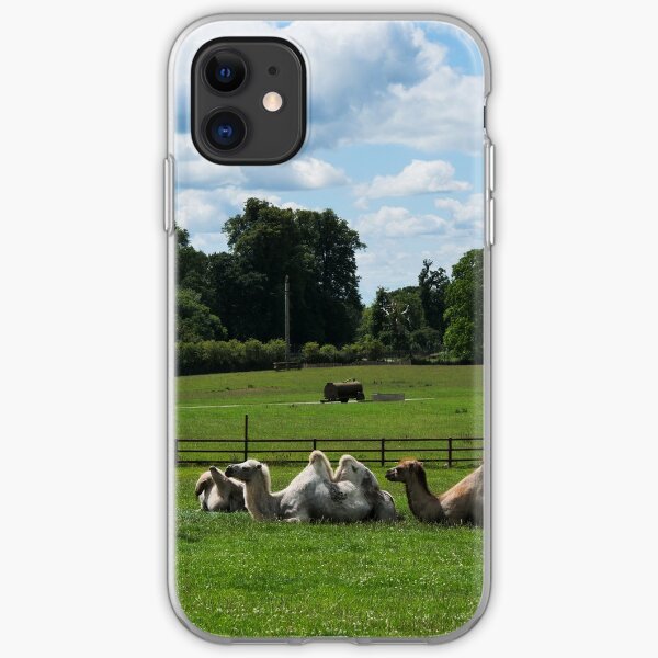 Double humped camels iPhone Soft Case