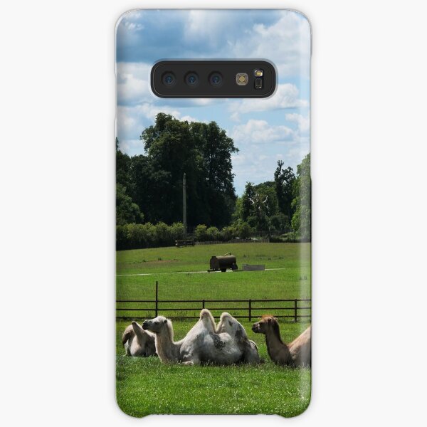 Double humped camels Samsung Galaxy Snap Case