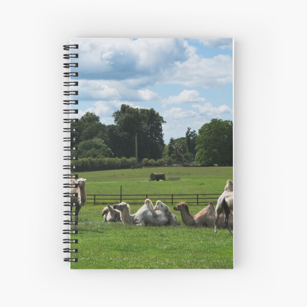 Double humped camels Spiral Notebook