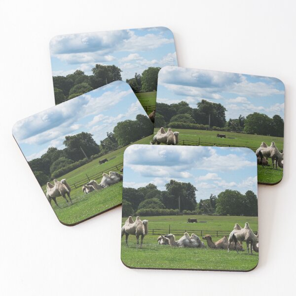 Item preview, Double humped camels designed and sold by santoshputhran.