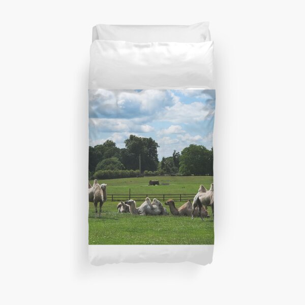 Double humped camels Duvet Cover