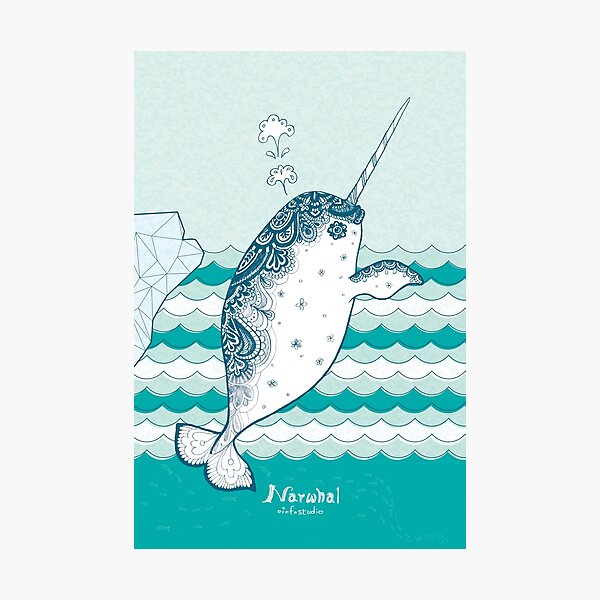 Narwhal Photographic Print
