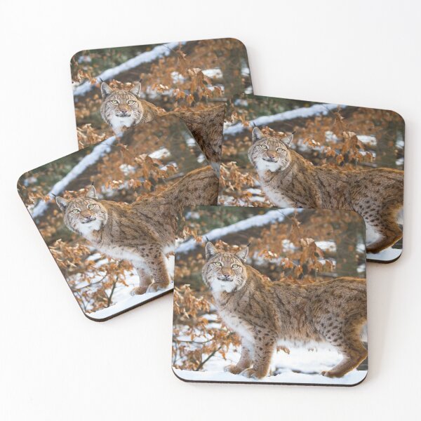 Item preview, lynx designed and sold by Cloudtail.