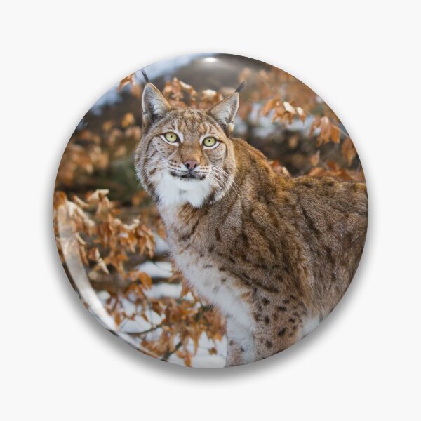 Item preview, lynx designed and sold by Cloudtail.