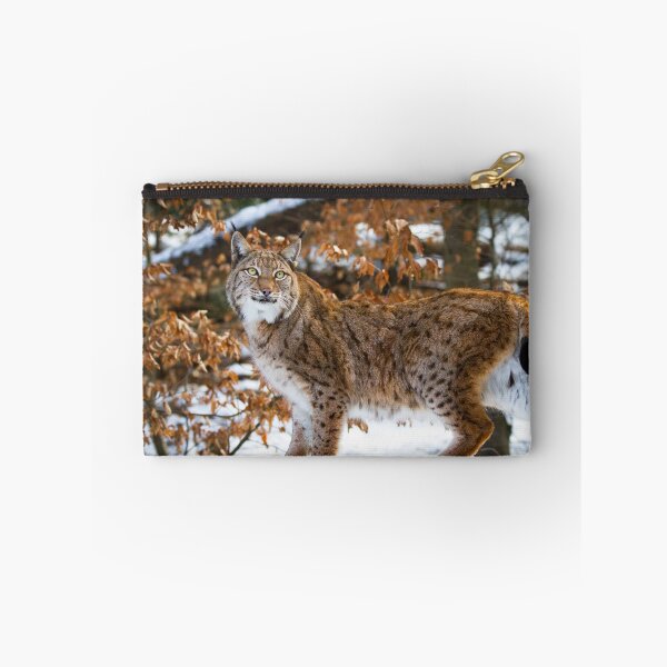 Item preview, lynx designed and sold by Cloudtail.