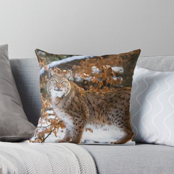Item preview, lynx designed and sold by Cloudtail.