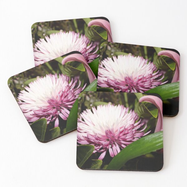 Item preview, Bliss & Blossom Collection 15 designed and sold by nikkileeartist.