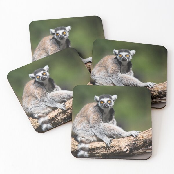 Item preview, Katta designed and sold by Cloudtail.