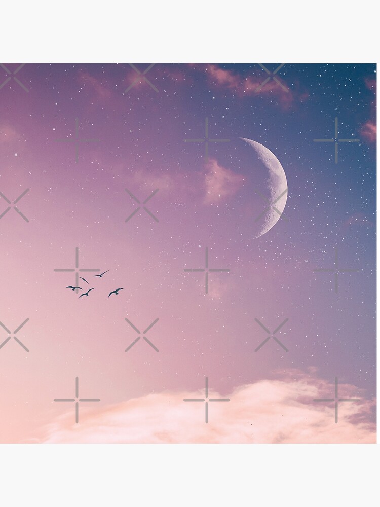 Birds in pink sky by ColorsHappiness