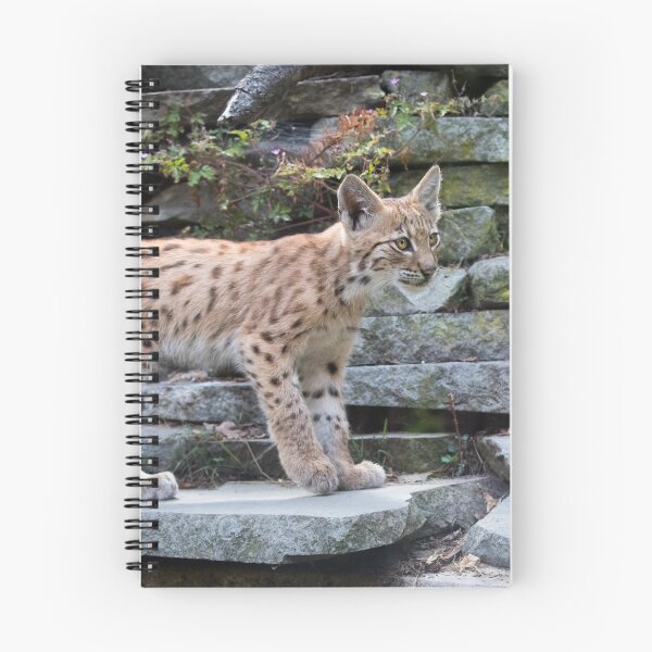 Item preview, Gatitos lince designed and sold by Cloudtail.