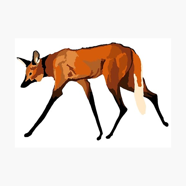 Item preview, Maned Wolf designed and sold by stellarmule.